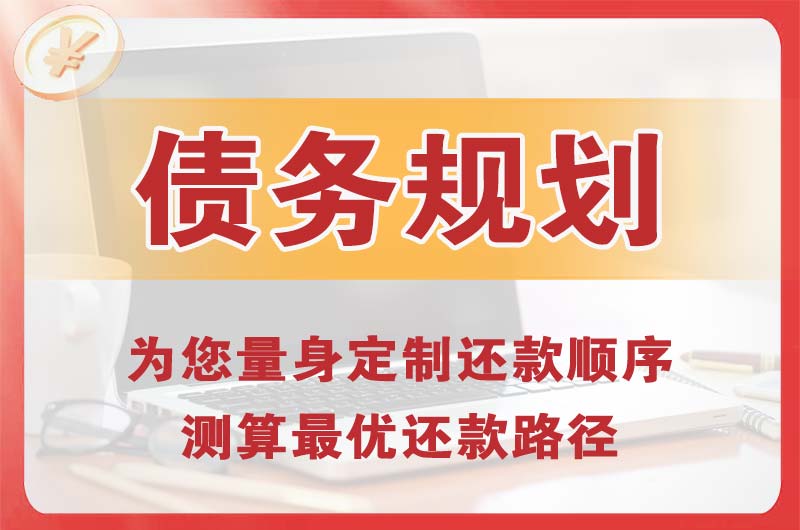 德山债务规划